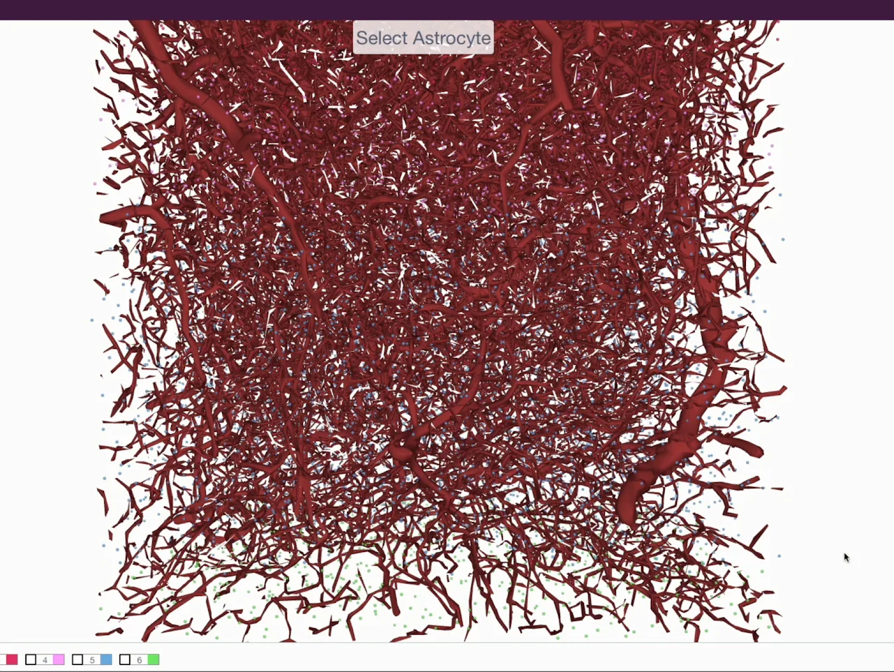 NGV Viewer screenshot 3