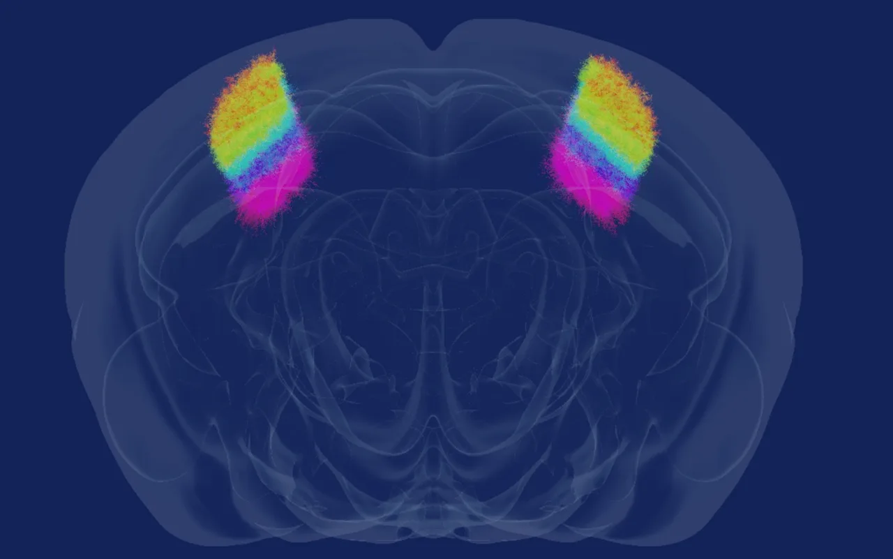 Open Brain Platform screenshot 1