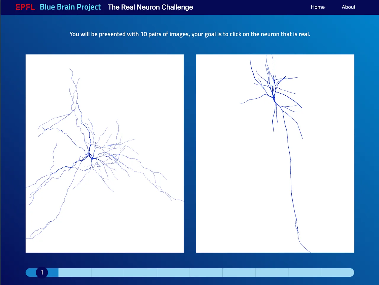The Real Neuron Challenge screenshot 1