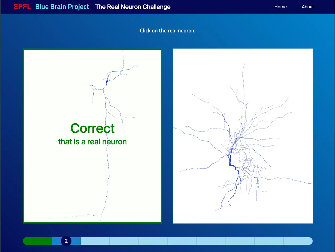 The Real Neuron Challenge screenshot 2