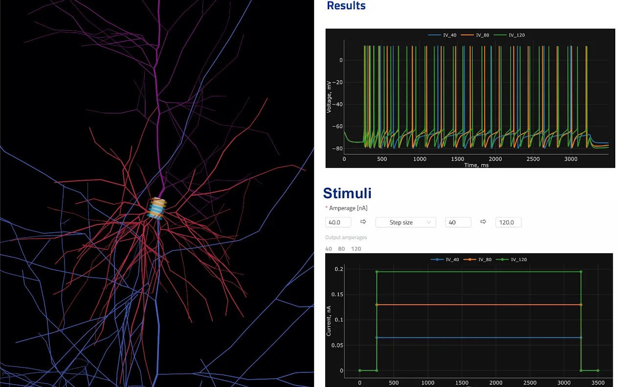 Open Brain Platform