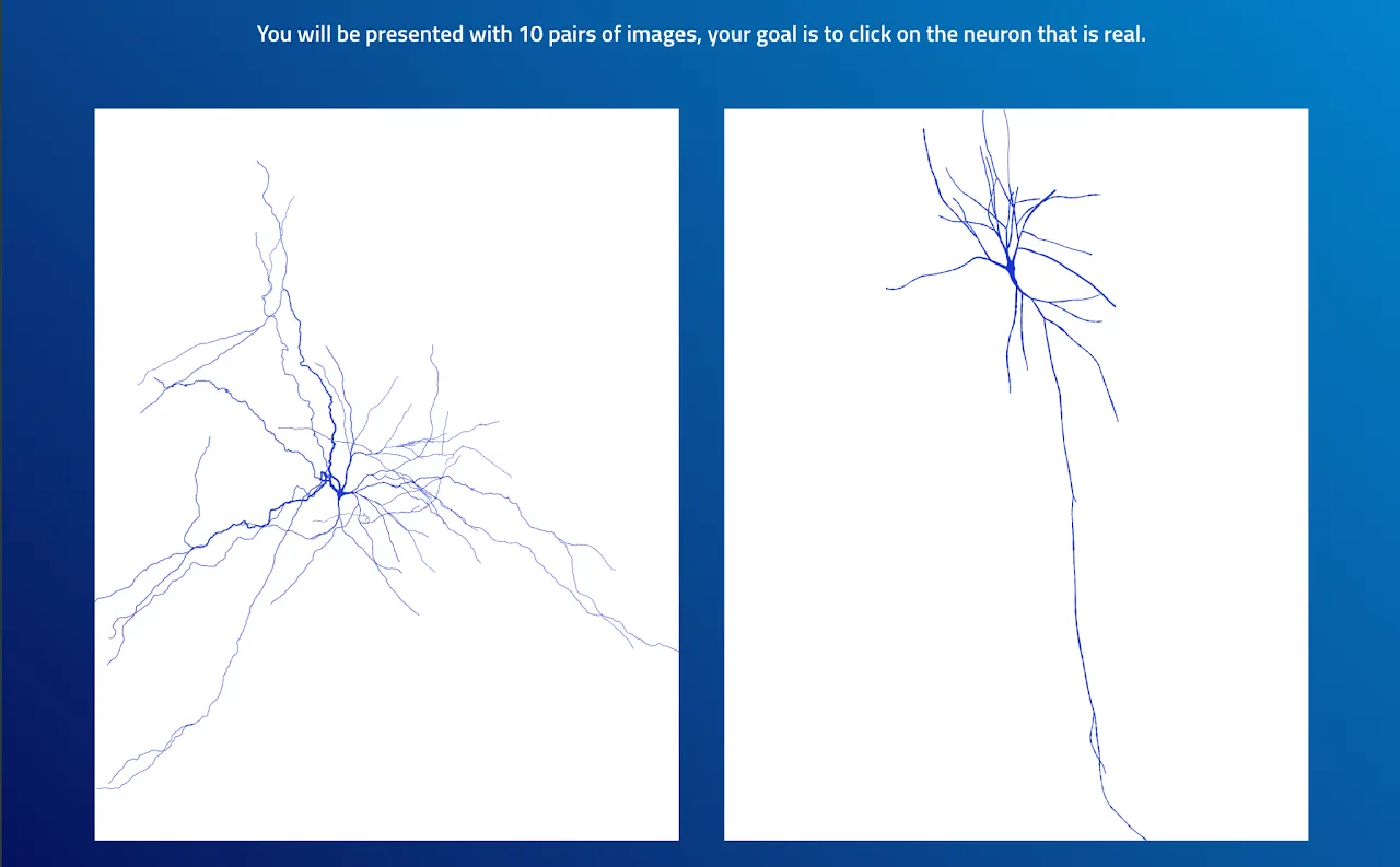 The Real Neuron Challenge